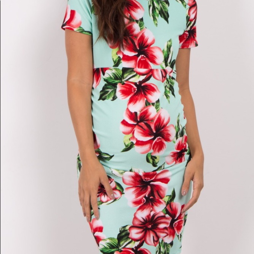New Pink Blush Mint Green Fitted Maternity Dress - Picture 5 of 6